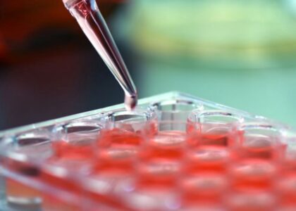 Cell Culture Market