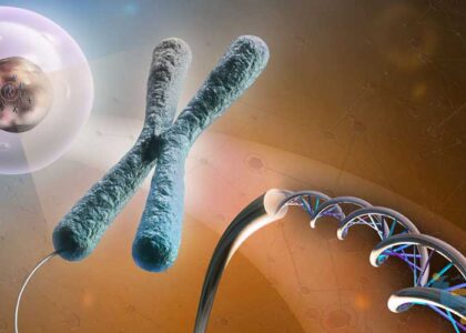 Cytogenetic Systems Market