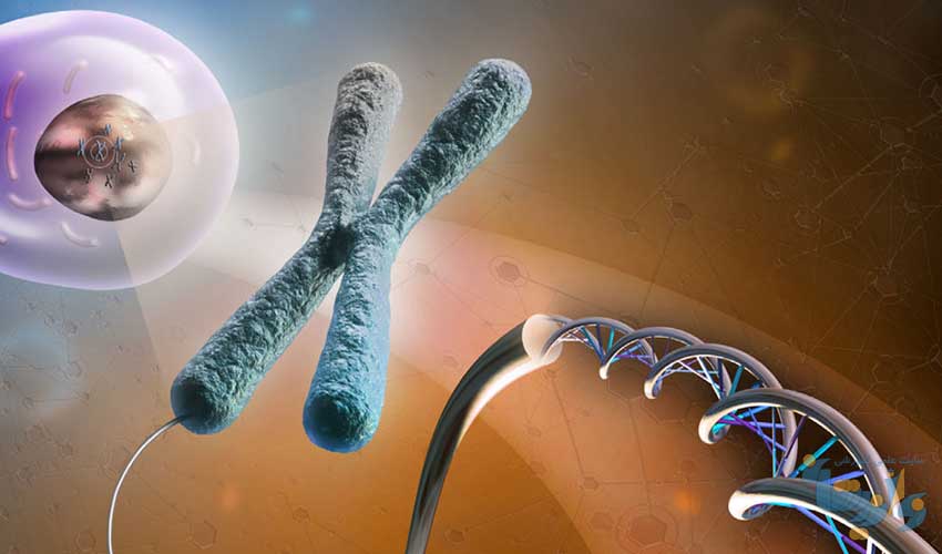 Cytogenetic Systems Market