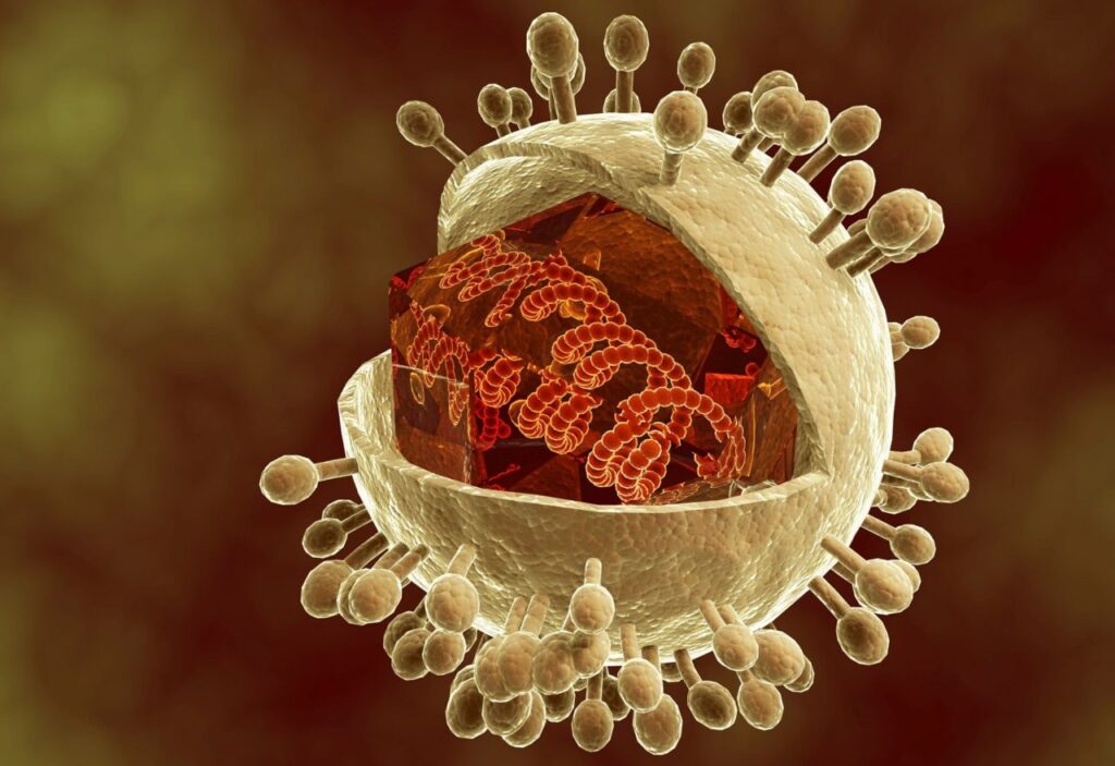 Cytomegalovirus Treatment Market