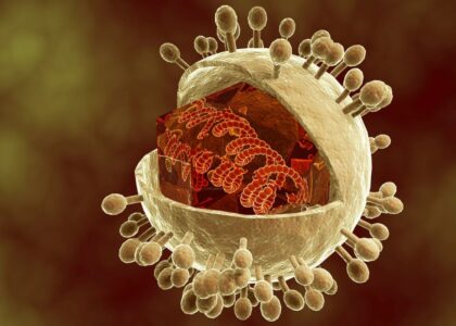 Cytomegalovirus Treatment Market