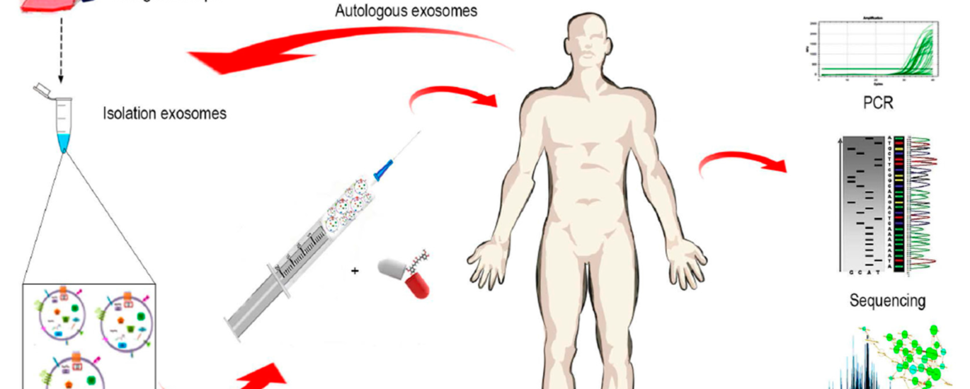 Exosome Diagnostic and Therapeutics Market