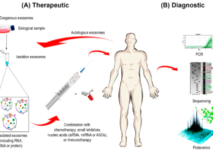 Exosome Diagnostic and Therapeutics Market