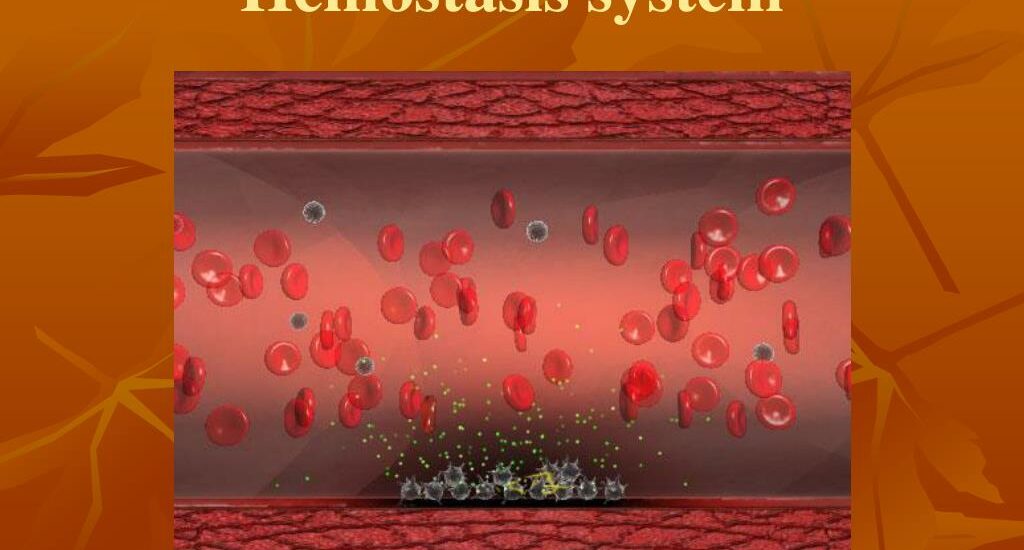 Hemostasis Testing Systems Market