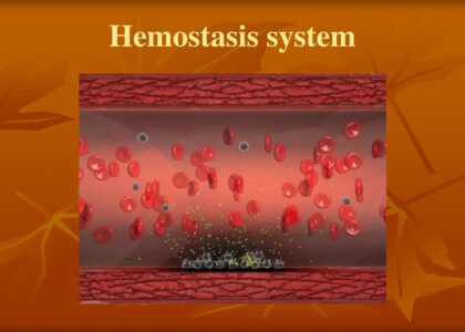 Hemostasis Testing Systems Market