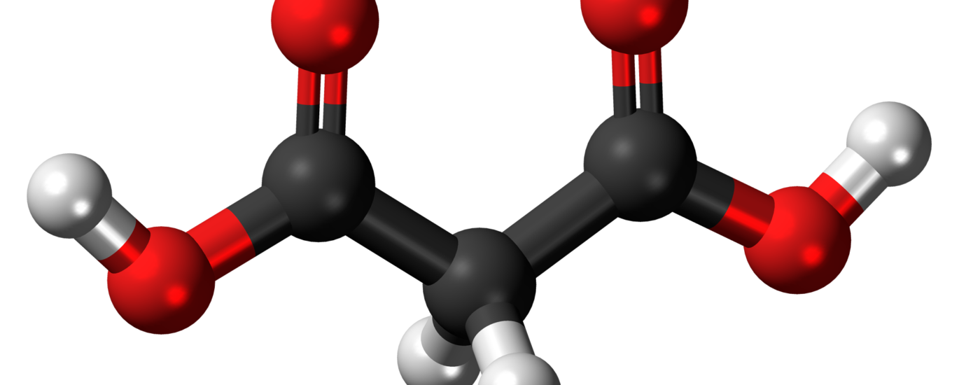 Malonic Acid Market