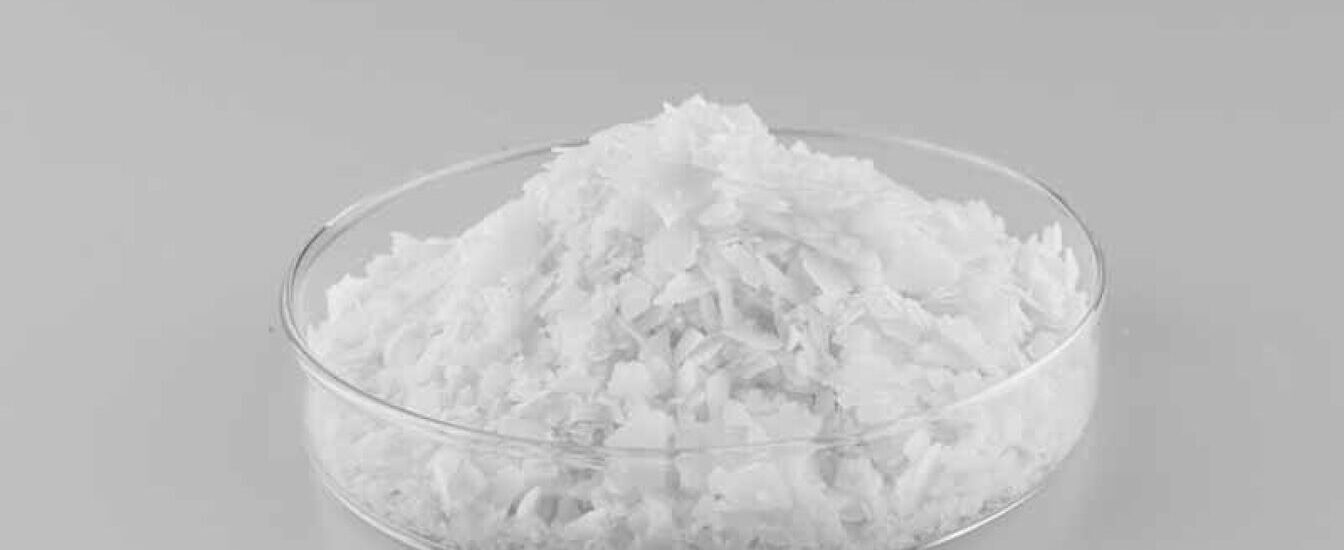 North America Potassium Formate Market