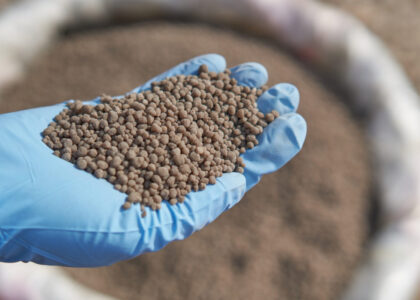 Phosphate Fertilizer Market