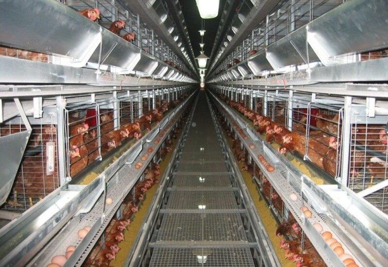 Poultry Keeping Machinery Market