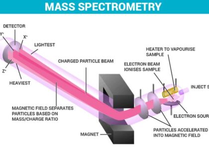 Spatial Mass Spectrometry Market