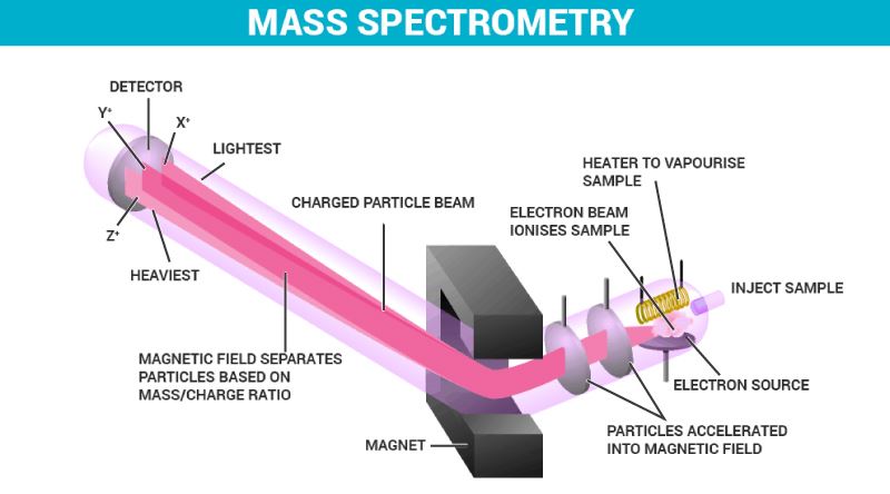 Spatial Mass Spectrometry Market