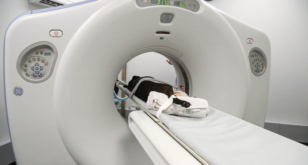 Veterinary Computed Tomography Scanner Market