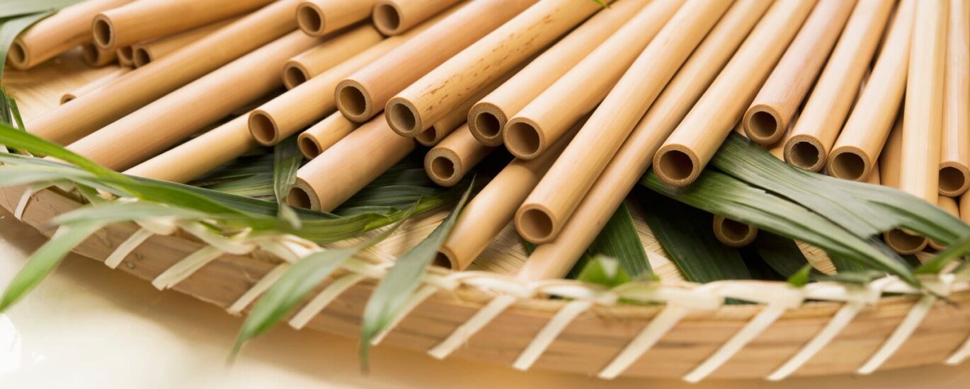 Bamboo Straws Market