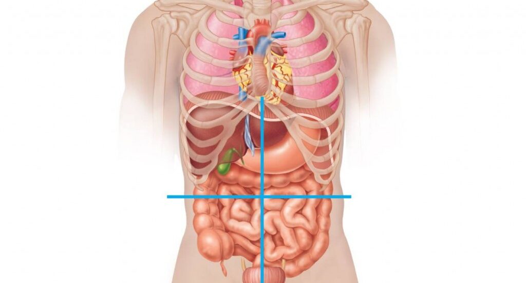 Abdominal Closure Systems Market