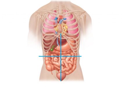 Abdominal Closure Systems Market