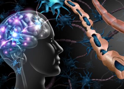 Alzheimer's Diagnostics and Therapeutics Industry