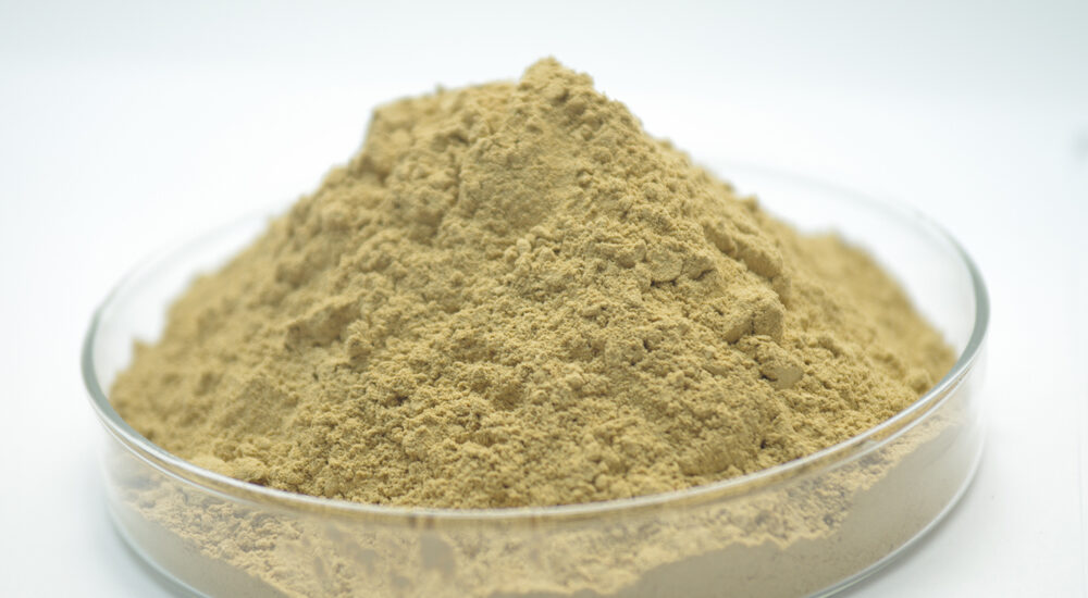 Asia Pacific Bentonite Market