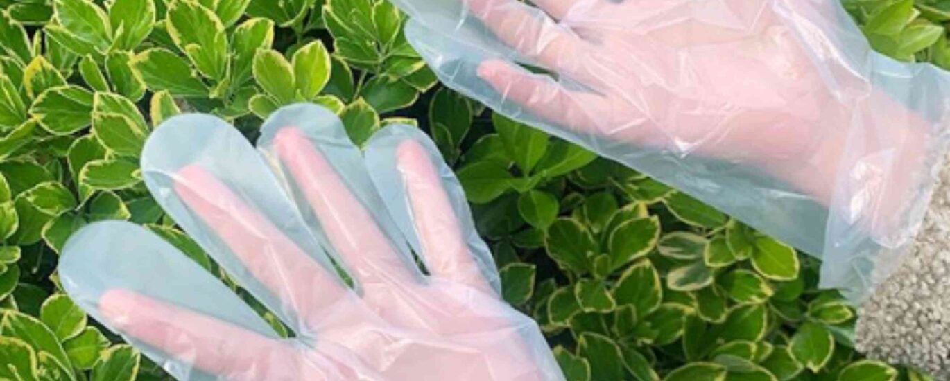 Biodegradable Gloves Market