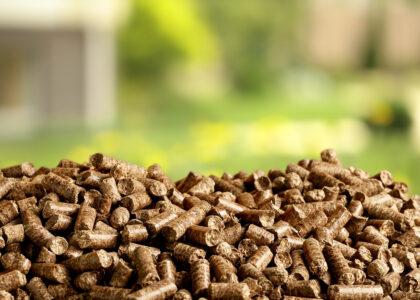 Biomass Pellets