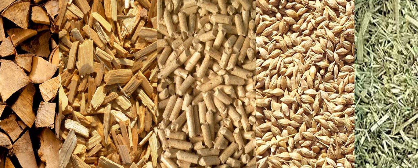 Biomass Pellets Industry