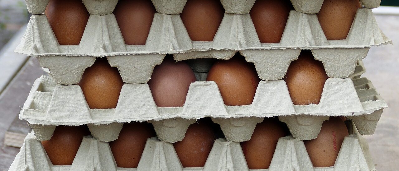 Egg Carton Market