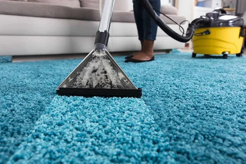 Carpet Extraction Cleaner Market