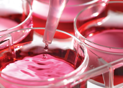 Cell Culture Market