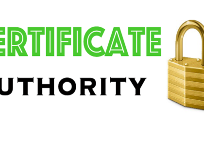 Certificate Authority Market