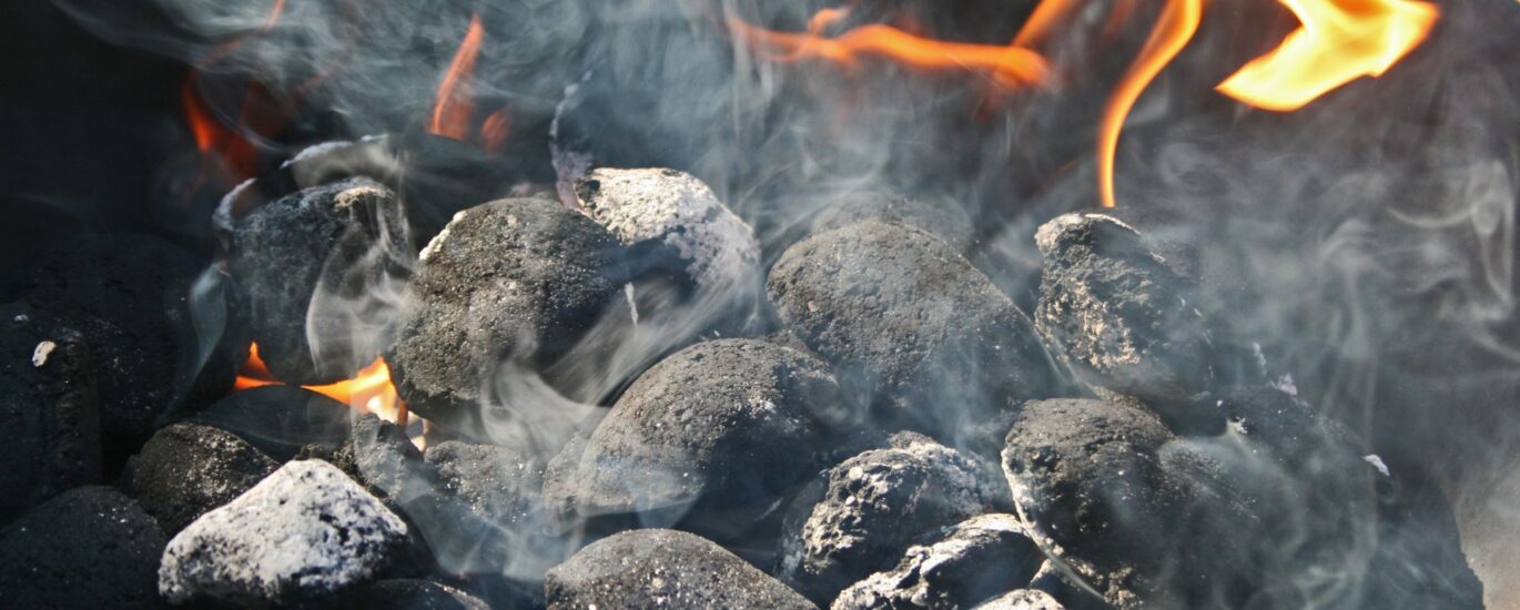 Coal Briquettes Market Outlook