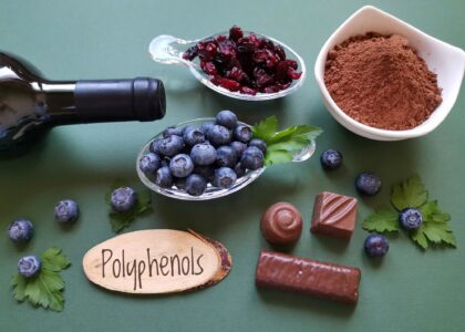 Cocoa Based Polyphenols Market