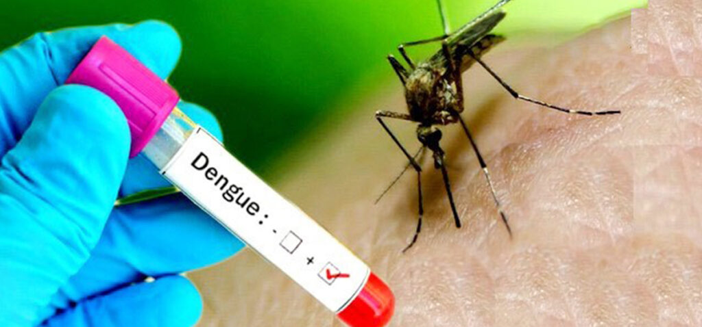 Dengue Fever Treatment Market