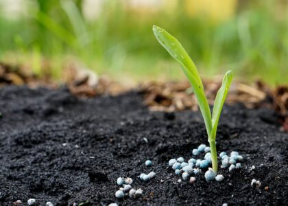 Fertilizer Additives Market