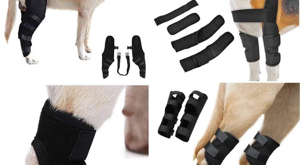 Global Veterinary Orthotics-Prosthetics Industry