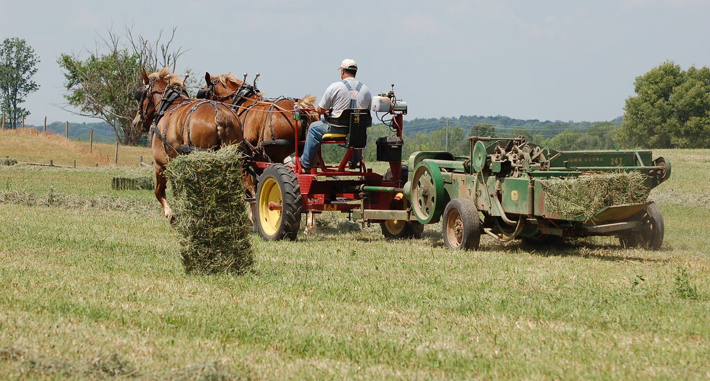 Horse Drawn Farming Equipment Market