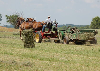 Horse Drawn Farming Equipment Market