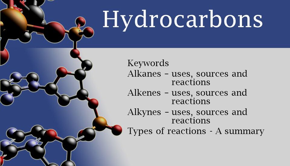 Hydrocarbons Accounting Solution Market