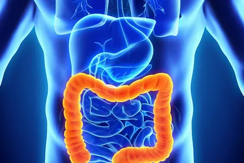 Global Inflammatory Bowel Disease Treatment Market