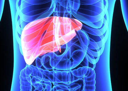 Liver Transplantation Market