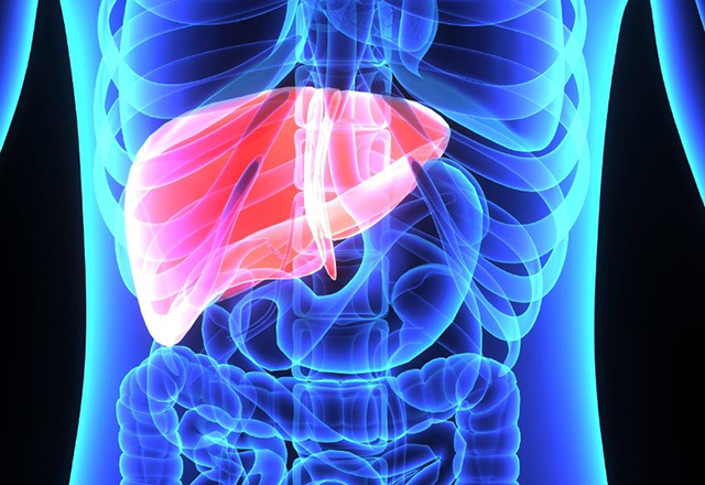 Liver Transplantation Market