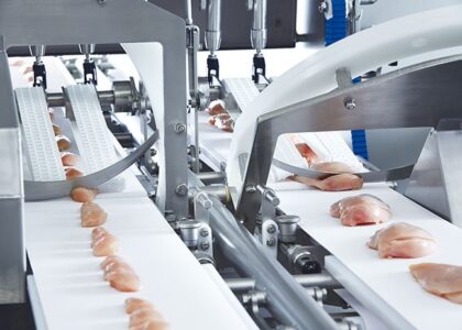 Meat Cutting Machine Market