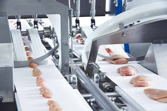 Meat Cutting Machine Market