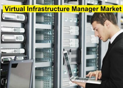 Virtual Infrastructure Manager Market