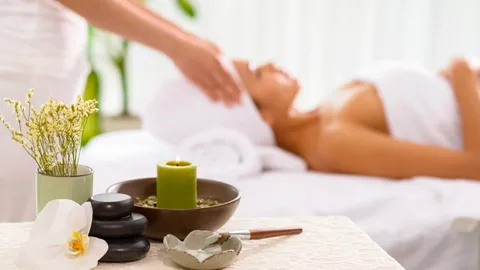 Spa Services Market