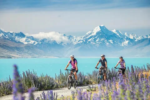 New Zealand Sustainable Tourism Market