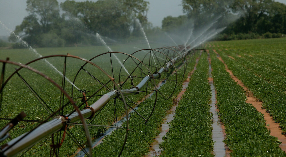 Irrigation Liners Market