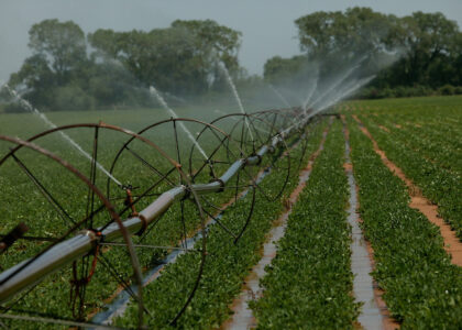 Irrigation Liners Market