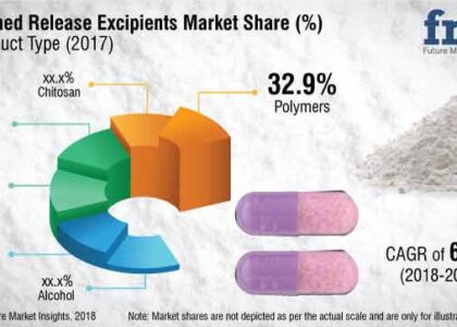 Sustained Release Excipients Market