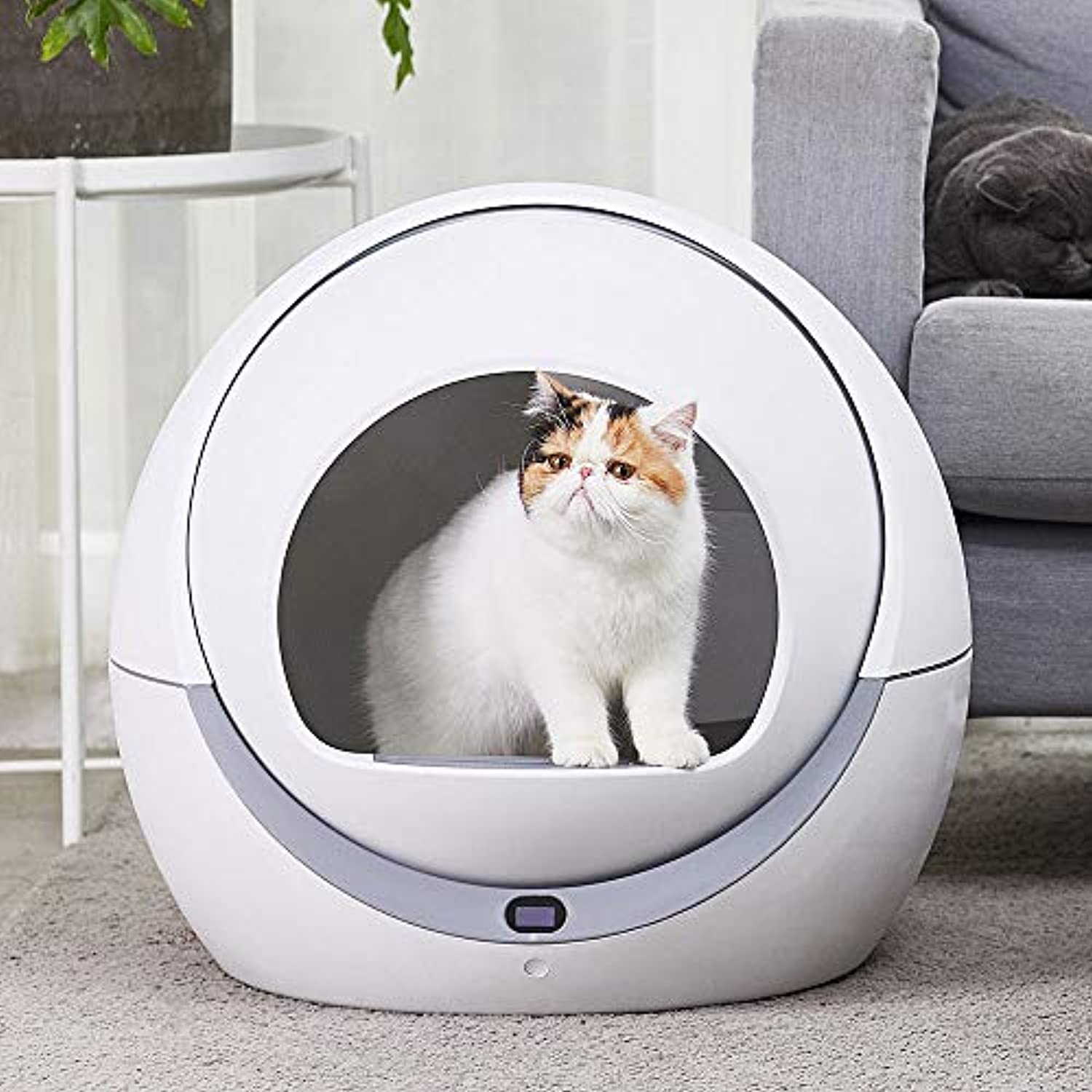 automatic-self-cleaning-cat-litter-box-market-is-anticipated-to-record