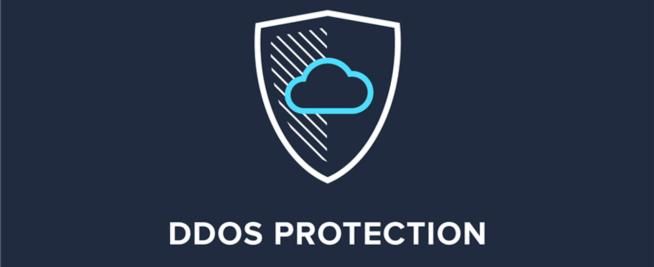 DDoS Protection Market