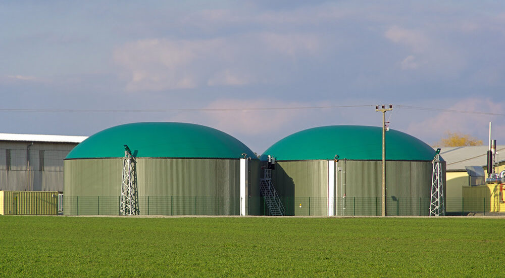 Biogas Market